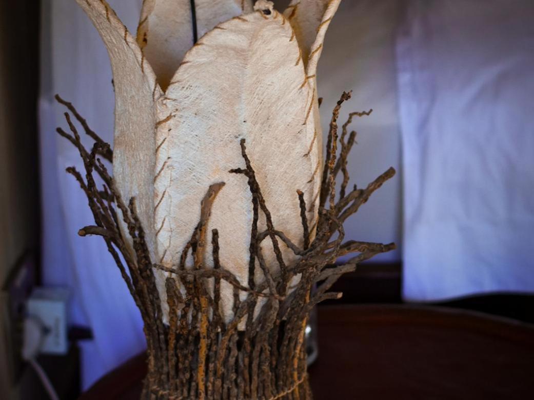Ihlozi Bush Lodge Hluhluwe Eksteriør billede